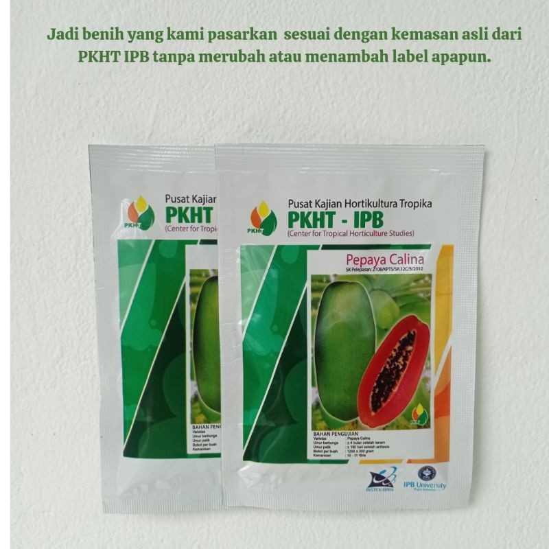 KAMEJING Benih Pepaya Calina PKHT IPB 9 Kemasan 250 butir