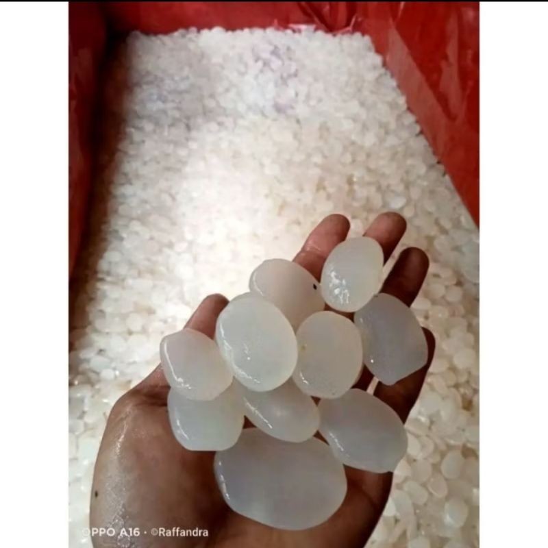 

BIG PROMO jual kolang kaling fresh bersih/1kg ready