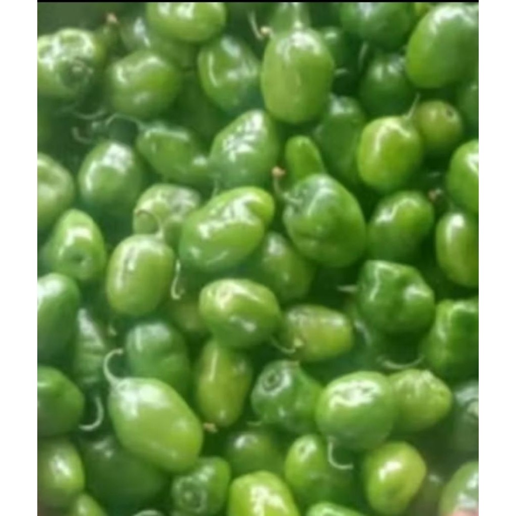 

DISKON GILA Cabe Gendot Dieng 250 gr