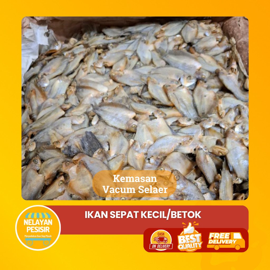 

Ikan Asin Sepat Rawa Kecil Dengan Kepala Gurih Renyah Kering Siap Masak dan Tahan Lama