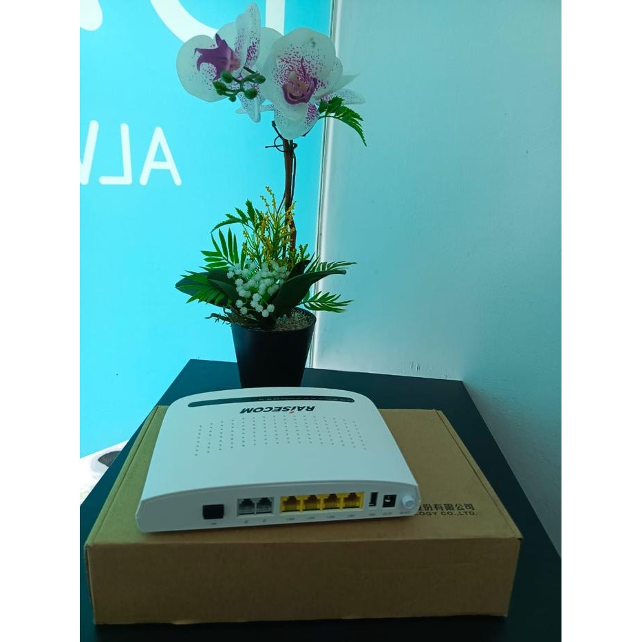 ONT RAISECOM HT803G_IPRoad SmarthomeNew