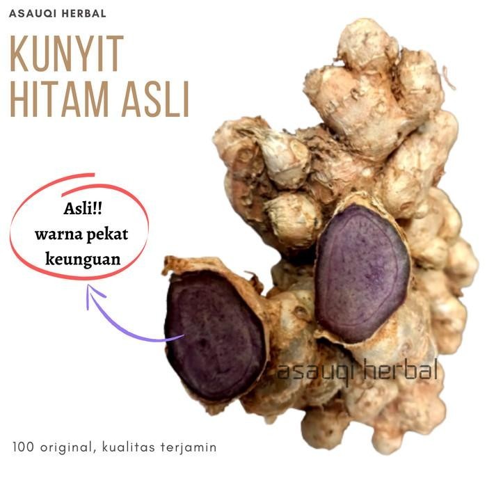 promo Herbal Kunyit hitam asli Original 100% bukan temu ireng - Dijamin ready