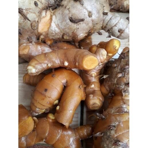 

OHI temulawak/koneng gede/kunyit/temulawak segar 1kg KC