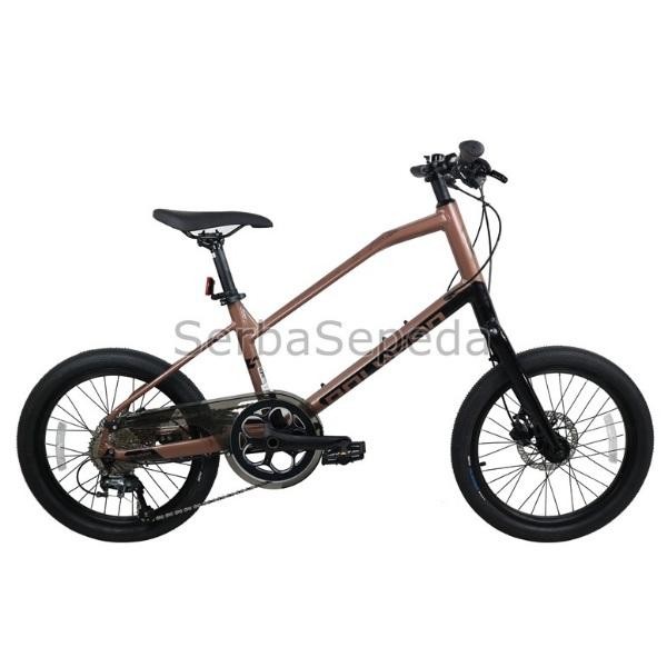 Sepeda Urban - Sepeda Polygon Zeta 2 - HITAM COKLAT