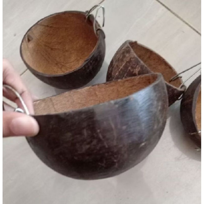 batok kelapa ,tempat makan dan minum