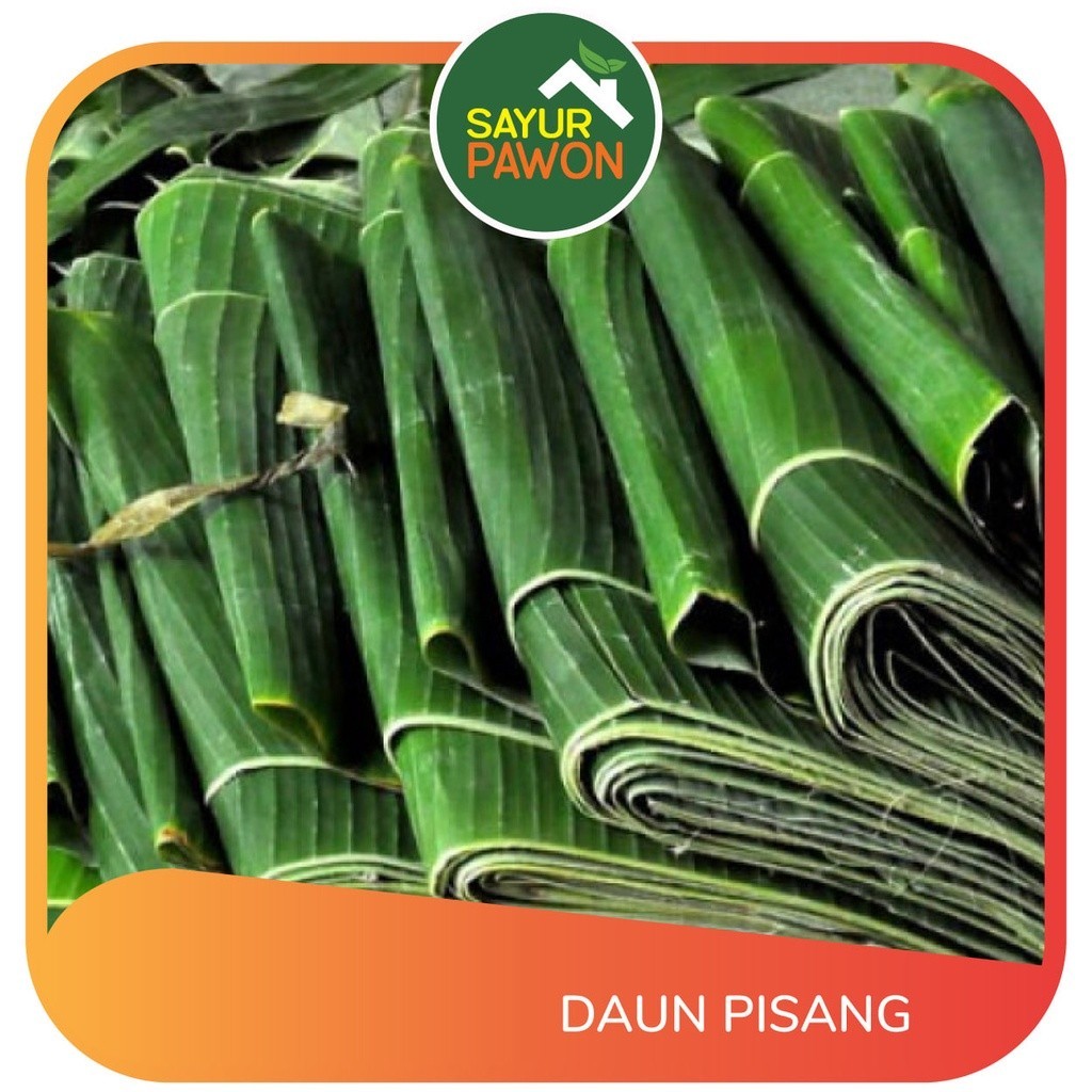 

DAUN PISANG per pack terlaris