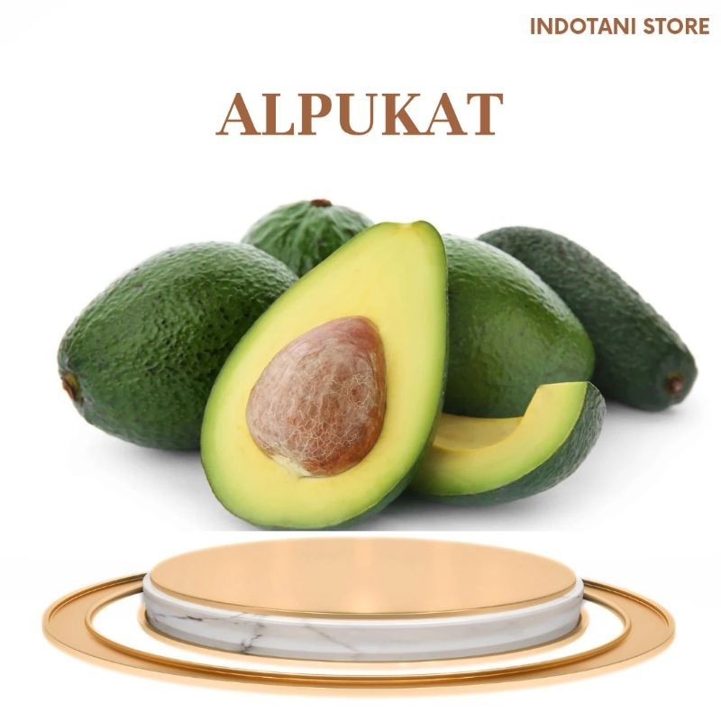 

INDOTANI_ Alpukat Kualitas Super 250gr / Alpukat Mentega / Avocado 250gr