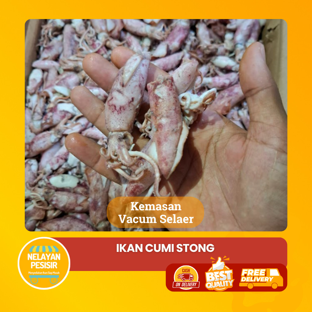 

Cumi Asin Segar Kering Masakan Rumahan Lauk Tahan Lama 100% Halal