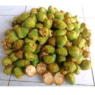 

buah klapa kcil 5 pcs' bluluk herbal ready