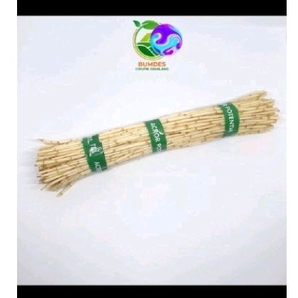 

promo Akar alang alang sgar 300 gr' akar ilalang