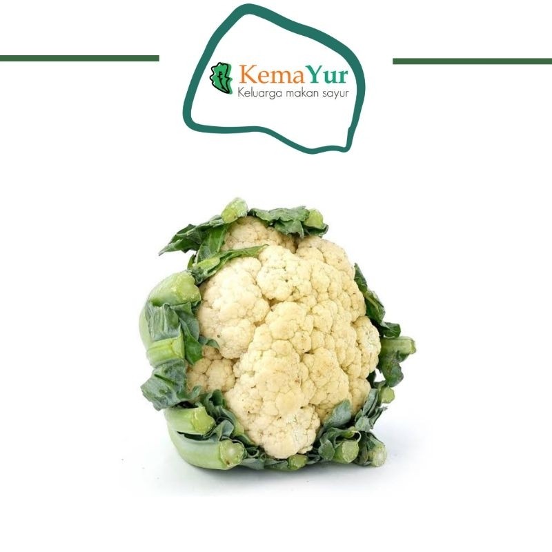 

KEMBANG KOL 500GR