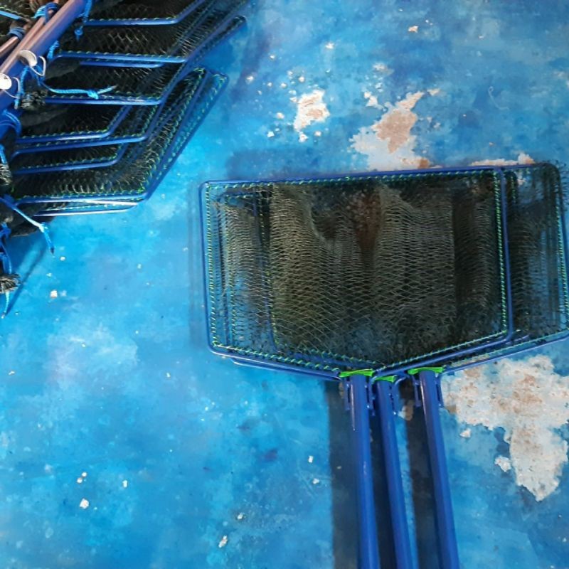 serok ikan konsumsi lele mujair nila jaring tebal kuat d9 Co