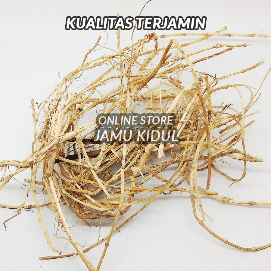

Akar Alang-Alang Kering 500gr Asli Hutan - Lebih Berkhasiat