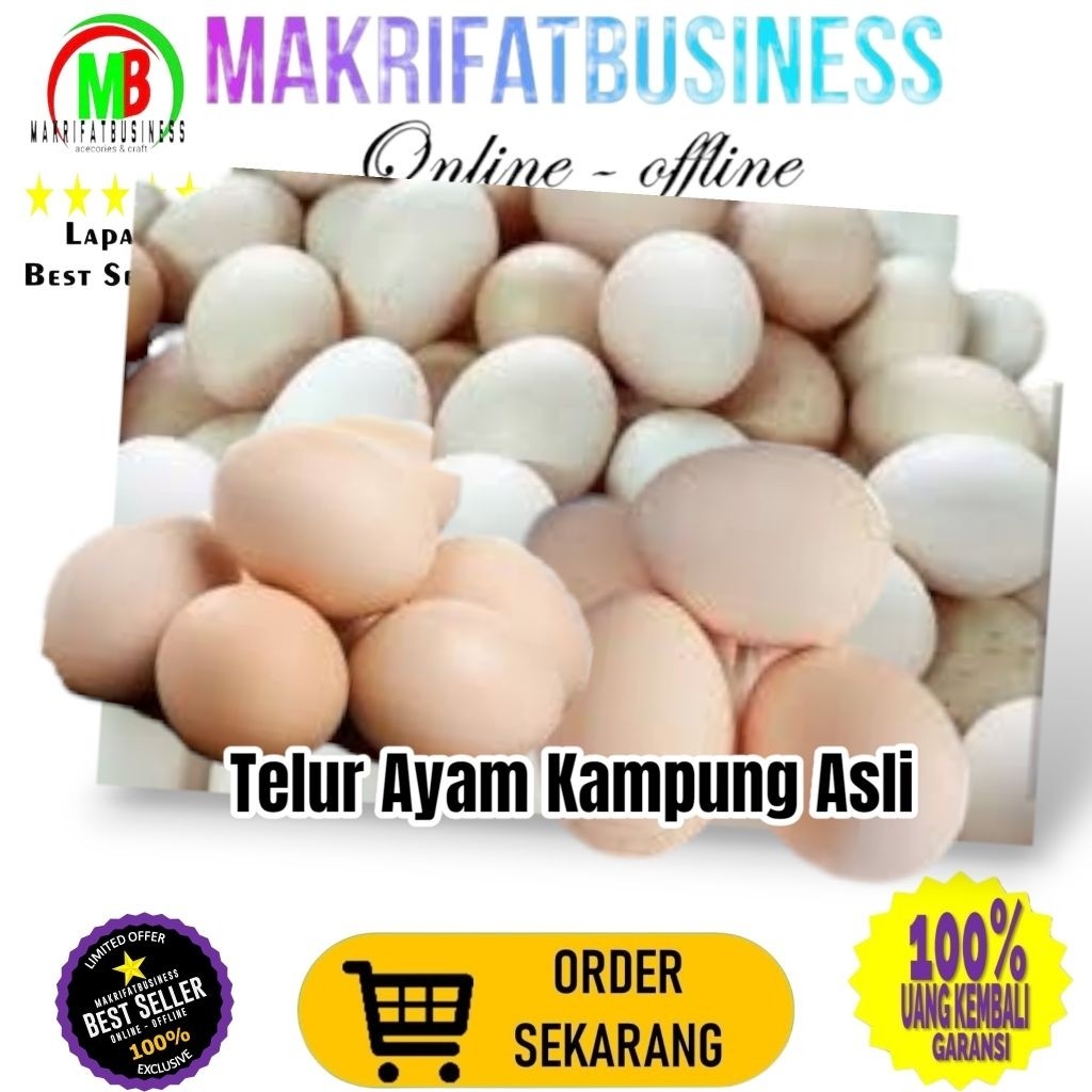 

IMRON PRIBADI Paket 4 Pcs Size Kecil TELUR AYAM KAMPUNG ASLI Untuk Konsumsi Jamu Kesehatan Makanan Protein Gizi Tinggi