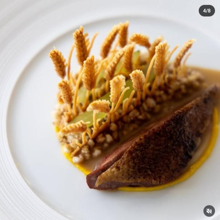 silicone  tuile the wheatfield cocok untuk garnish atau cake decor berbahan coklat atau cookies