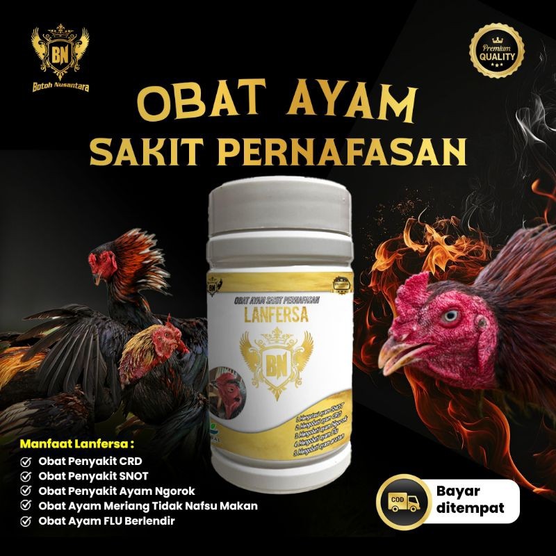 Booster Ayam Bangkok Tempur Prima LANFERSA Obat Herbal Sakit Ngorok Flu Snot CRD