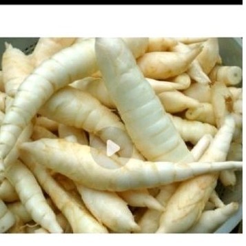 

promo Umbi garut sgar brsih 1kg atasi lambung