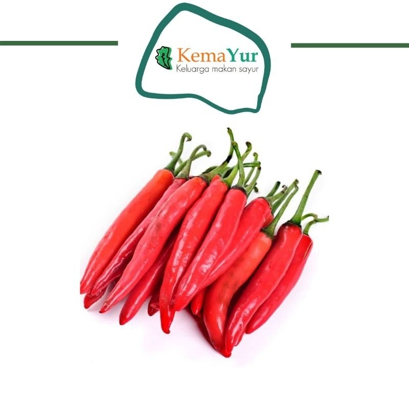 

CABE MERAH BESAR 100GR CABAI