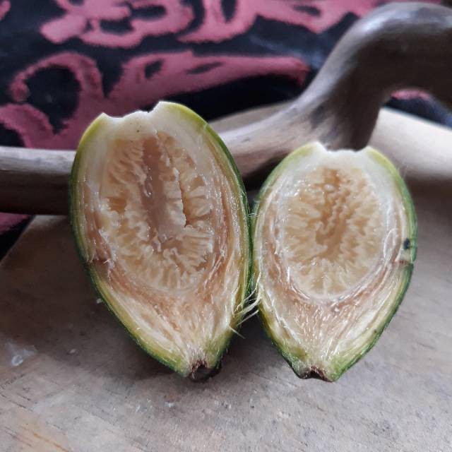 

Sahabatalam Buah Pinang Muda 1 Kg - [ GUMECROT ]