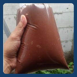 

coklat cair kiloan 1kg