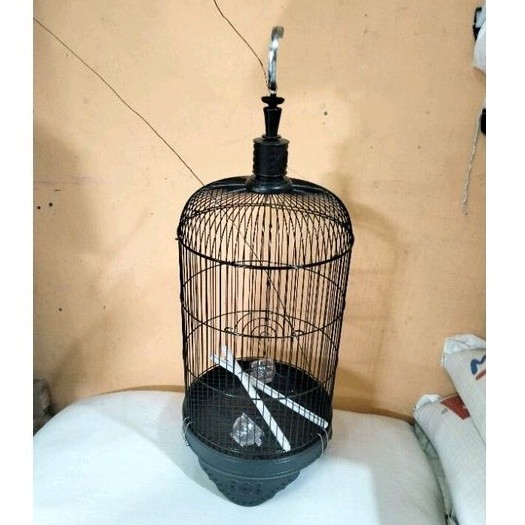 PANDA PLECI KANDANG SANGKAR KAPSUL KECIL