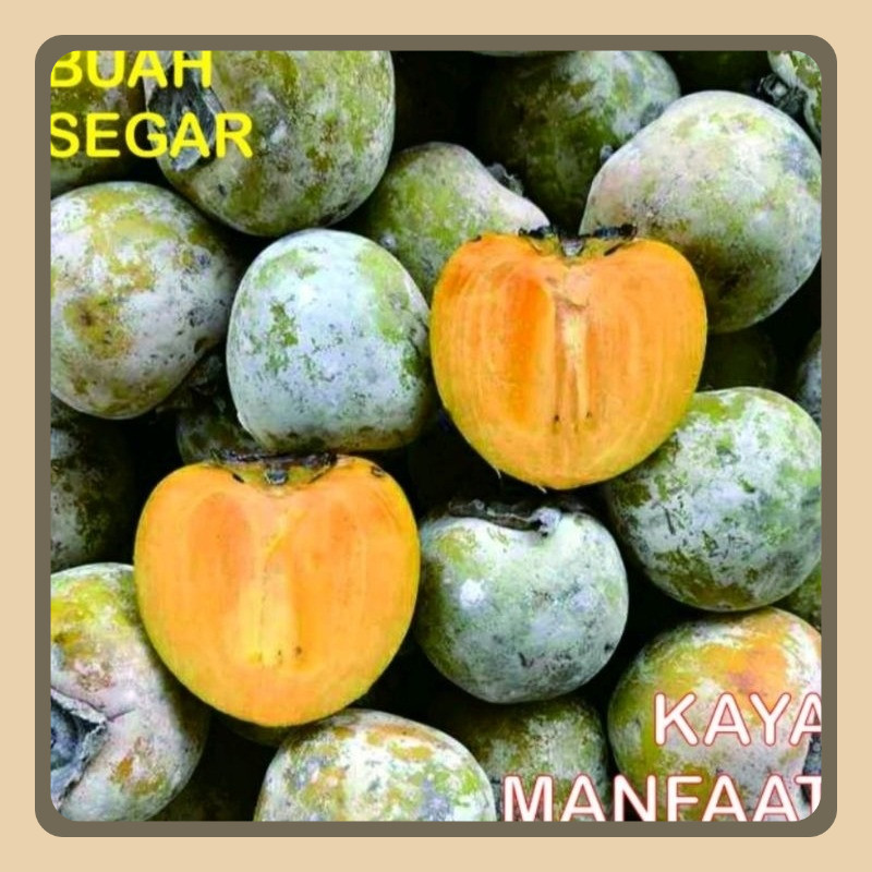 

BUAH KESEMEK MANIS segar 1kg / persimmons / tledung /
