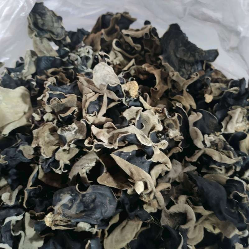 

Jamur Kuping Kering 500gr – Premium Grade | Cocok untuk Masakan & Herbal