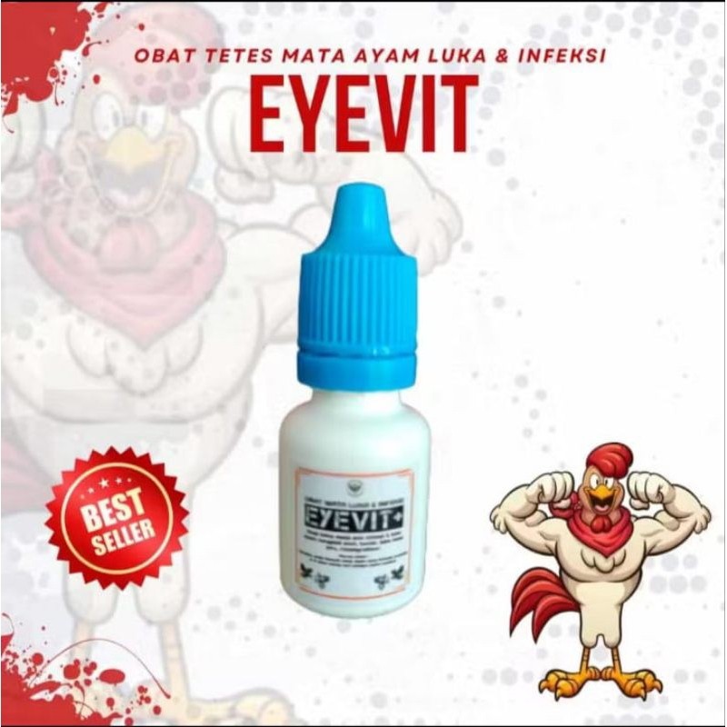 Vitamin Ayam Gila Ampuh Manjur Obat tetes mata luka berair bengkak berbusa infeksi setelah adu kena 