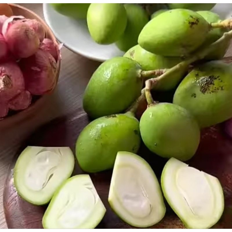 

READY mangga muda mini,1kg cocok buat rujak,tinggal belah isi banyak