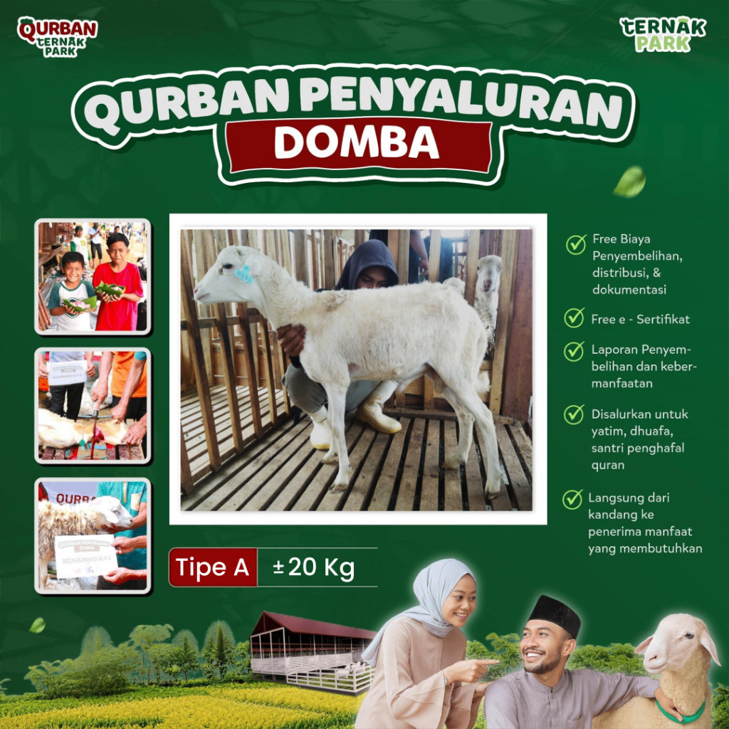 READY - Ternakmart Qurban Salur Domba Ternakpark Murah Daerah Pelosok Anak Yatim Dhuafa 20 kg 40 kg
