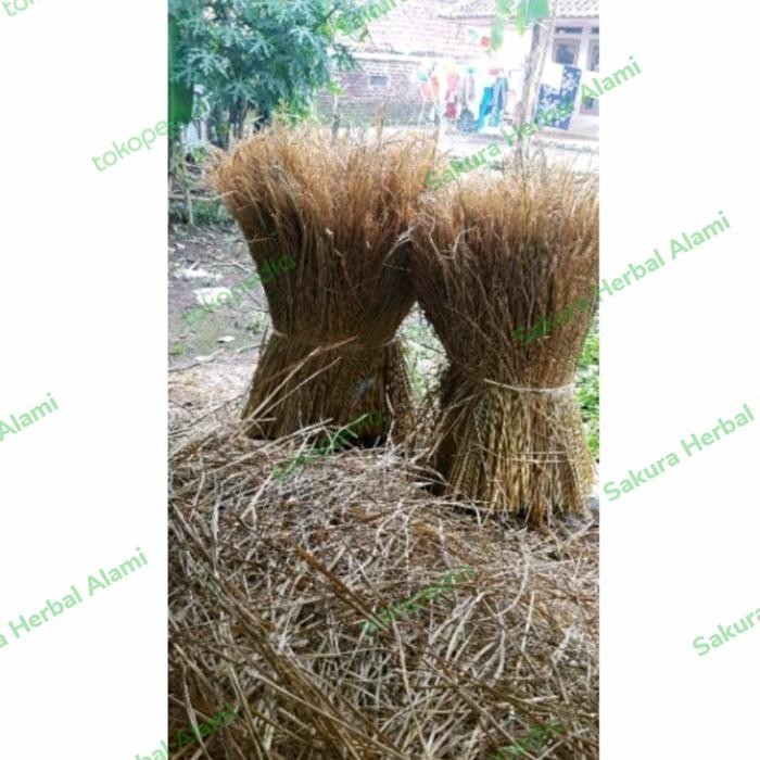 

promo jerami padi kering 1kg siap pakai sudah rapih dan bersih ready