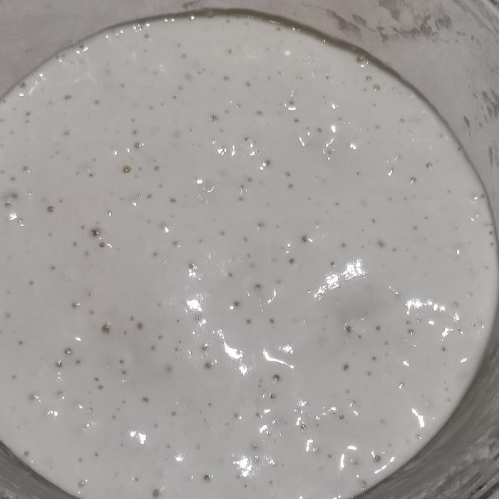 

Mumpung Murah ragi alami / sourdough starter murah @30gr