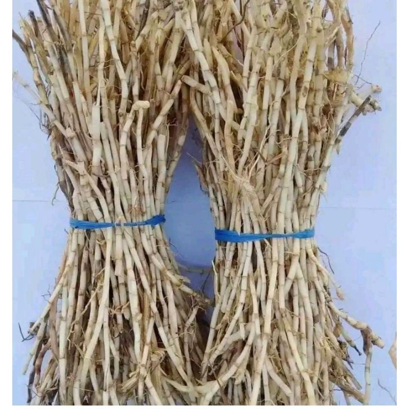 

Akar Alang Alang segar 1kg