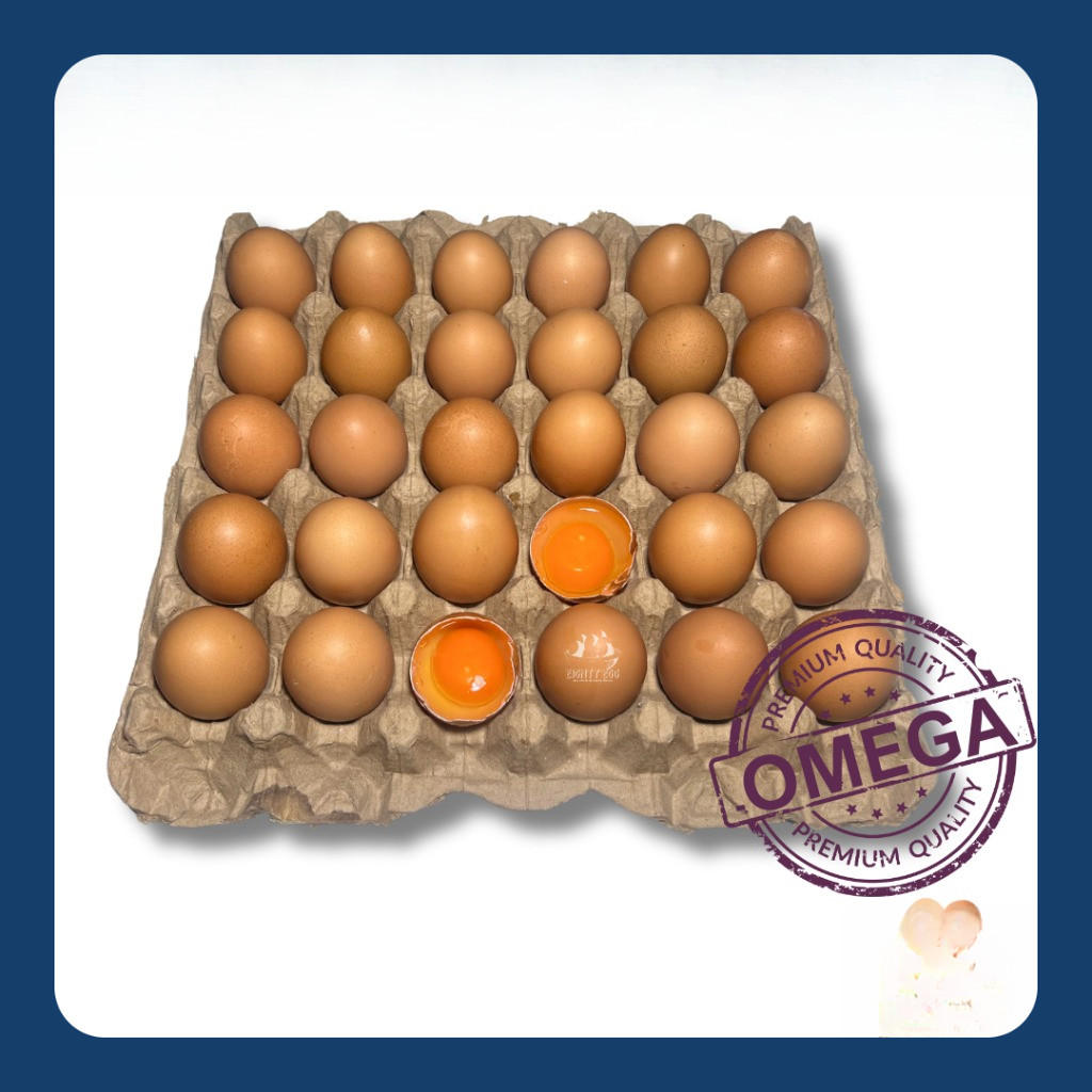 

Telur Ayam Negeri OMEGA 3 - 30 pcs GRADE A Fresh Bersih Kualitas Terbaik