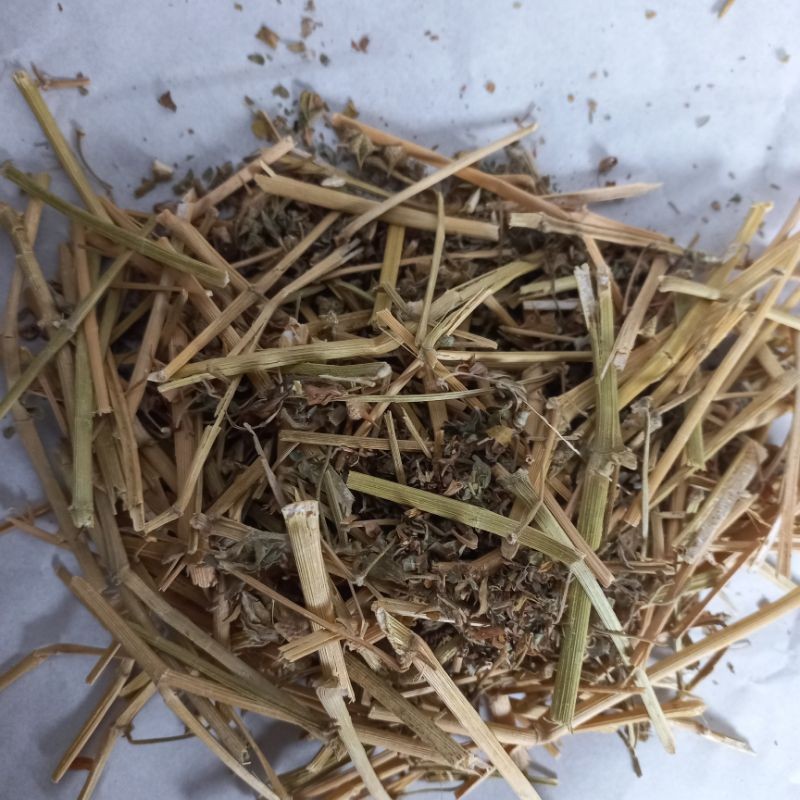 

MURAH Tribulus Rajang Kering 500gr