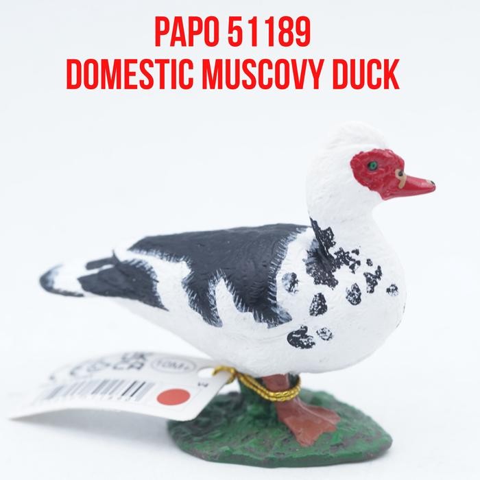 PAPO 51189 Domestic Muscovy Duck Bebek Muscovy Itik Serati Cairina moschata Mainan Figure Binatang M