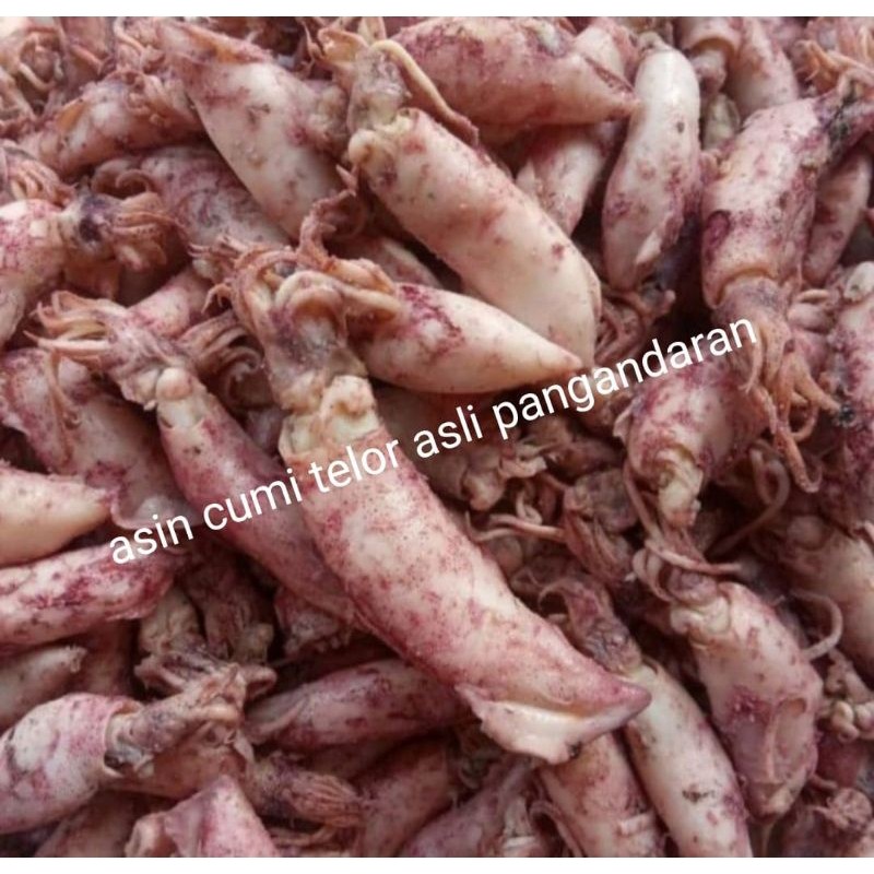 

cumi telor asli khas pangandaran