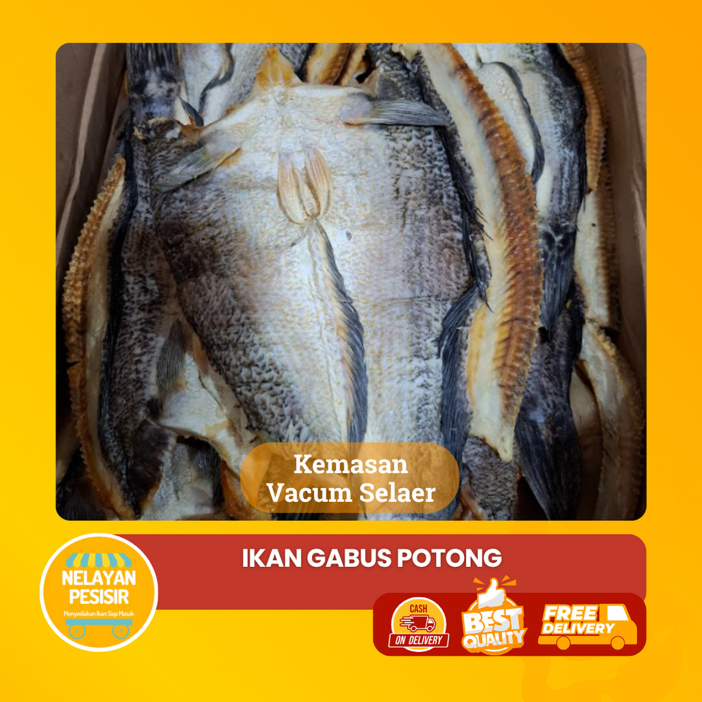 

Ikan Asin Gabus Bloso Belah Kering Kemasan 250 Gram Dengan Kemasan Vacum Bisa COD