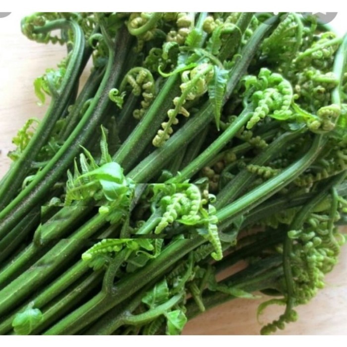 

COD pakis sayuran segar per 250 gram,(fresh) Terlaris .