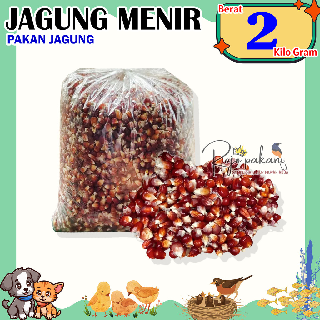 RP JAGUNG MANGGIS MERPATI 2 KG ATAU JAGUNG UNGU KRISTAL PAKAN MERPATI DORO