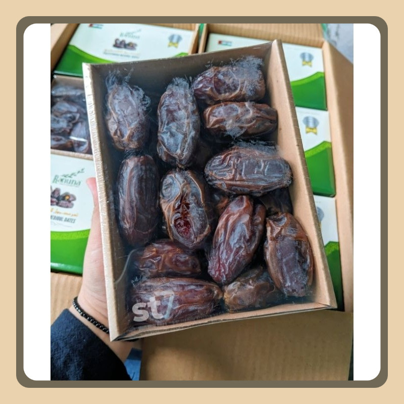 

Kurma Medjol 1kg/ Kurma Medjol Palestina 1kg / Kurma Medjol Palestine