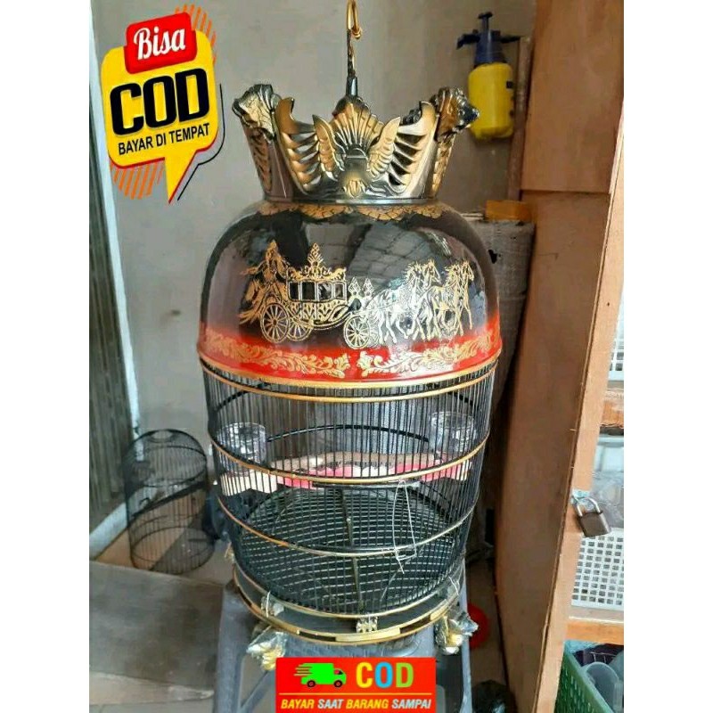 Sangkar PERKUTUT FIBER MAYANGKARA JUMBO TEBOK BISA DI LEPAS  +Free Cepuk CO