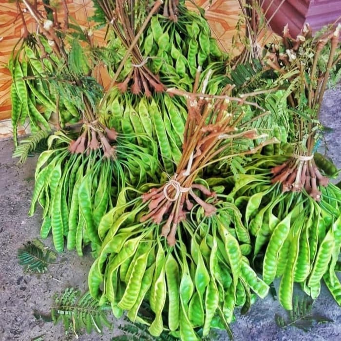 

Petai / Pete Segar Murah KC