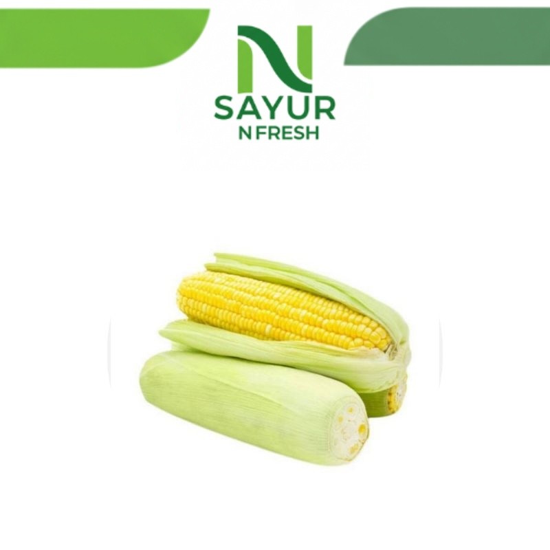 

JAGUNG MANIS 1PACK isi 2