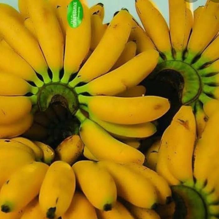 

Pisang Mas 1 Sisir