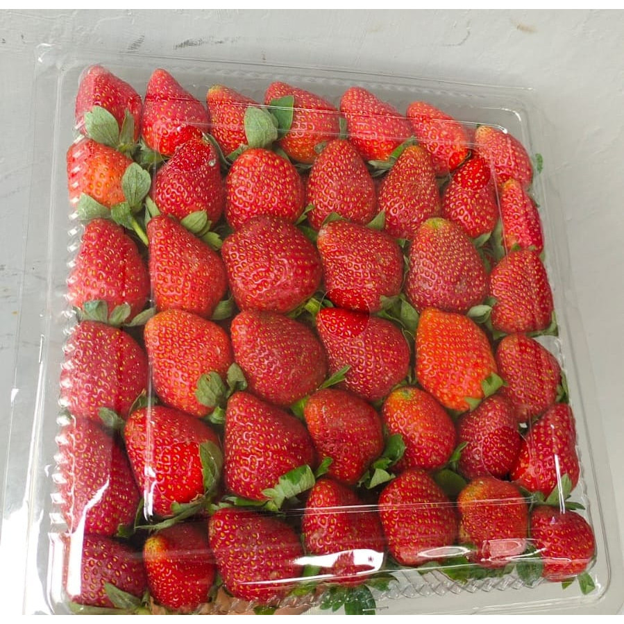 

DISKON GILA Strawberry Fresh 1kg Asli Ciwidey Strawberry Bandung