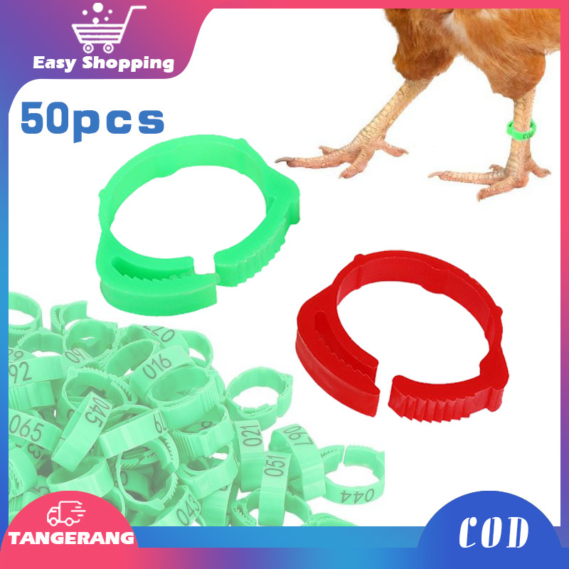 50pcs Gelang Kaki Ayam Cincin Kaki Ayam Bangkok Gelang Kaki Ayam Aduan Penanda Ayam Segel Kaki Ayam