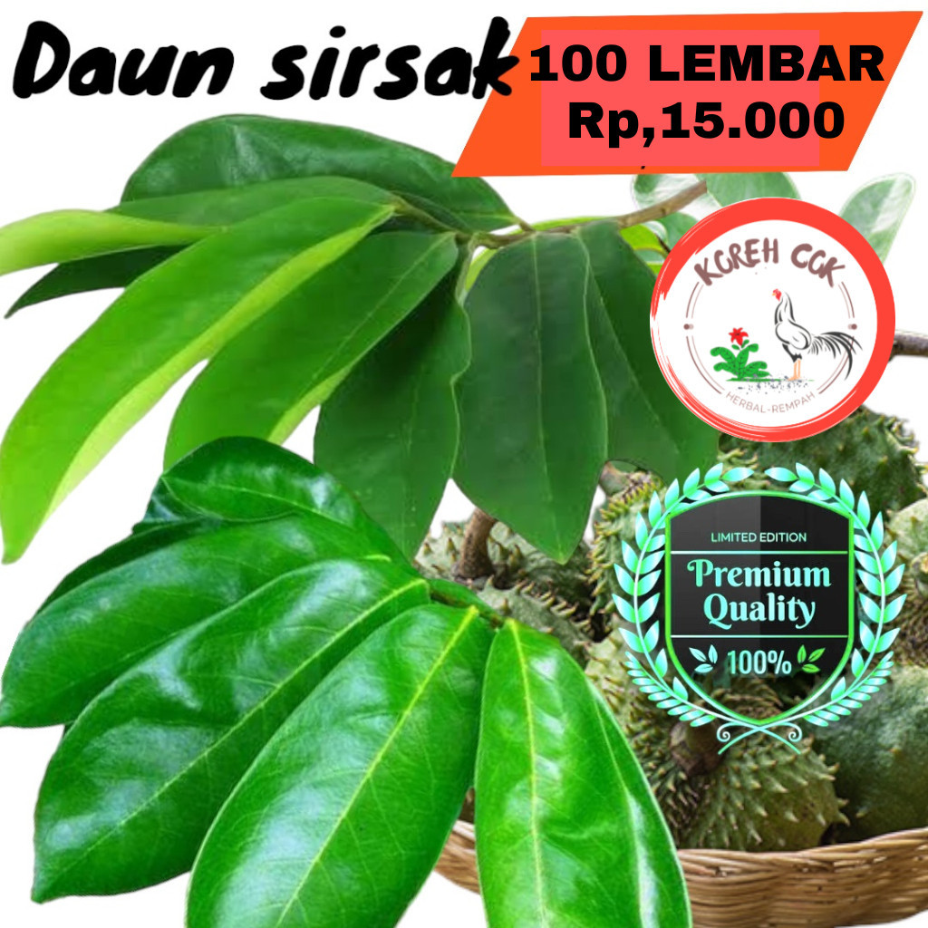

Korehcok PROMO 100 Lembar Daun Sirsak Segar Organik Herbal Obat Kanker Tumor Daun Sirsak Daun Segar Sirsak Daun Sirsak Daun Sirsak Segar Termurah Ori Asli