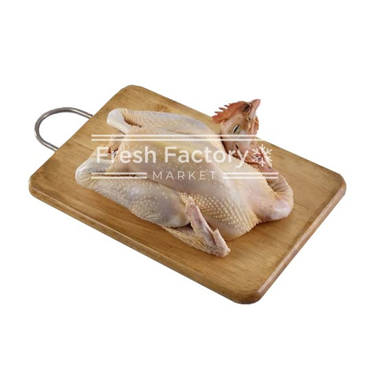 

Ayam Pejantan Premium uk 06-07 per ekor by Freezy Fresh