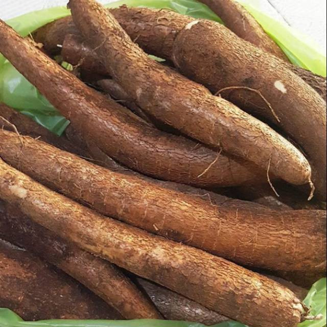 

1kg Singkong mentega segar - Jenis singkong empuk, pulen manis legit khas - S Herbal